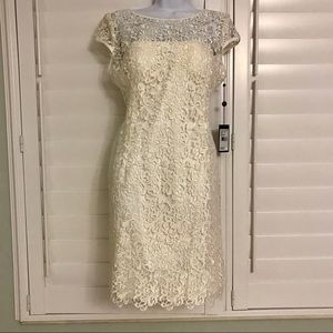 Cream knee-length lace wedding dress size 14p new
